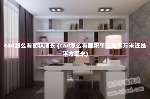 cad怎么看面积周长 (cad怎么看面积单位是平方米还是平方毫米)