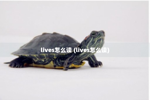 lives怎么读 (lives怎么读)