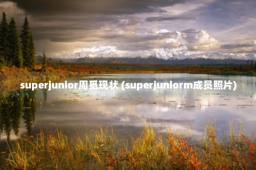 superjunior周觅现状 (superjuniorm成员照片)