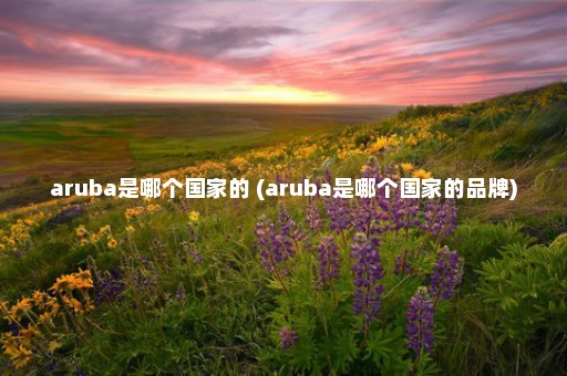 aruba是哪个国家的 (aruba是哪个国家的品牌)