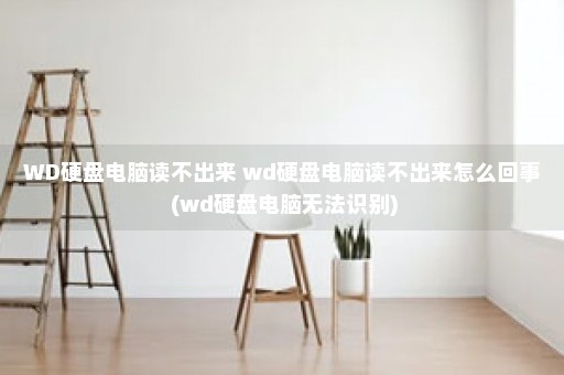 WD硬盘电脑读不出来 wd硬盘电脑读不出来怎么回事 (wd硬盘电脑无法识别)