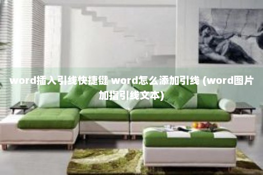 word插入引线快捷键 word怎么添加引线 (word图片加指引线文本)