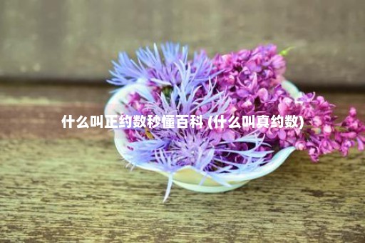 什么叫正约数秒懂百科 (什么叫真约数)