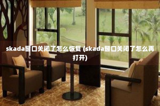 skada窗口关闭了怎么恢复 (skada窗口关闭了怎么再打开)