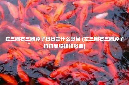 左三圈右三圈脖子扭扭是什么歌词 (左三圈右三圈脖子扭扭屁股扭扭歌曲)