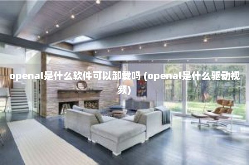 openal是什么软件可以卸载吗 (openal是什么驱动视频)