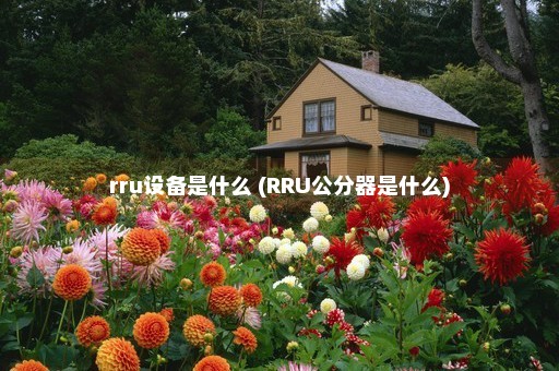 rru设备是什么 (RRU公分器是什么)