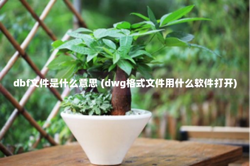 dbf文件是什么意思 (dwg格式文件用什么软件打开)