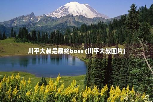 川平大叔是最终boss (川平大叔图片)