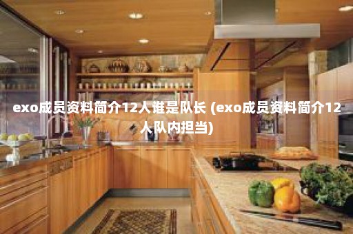 exo成员资料简介12人谁是队长 (exo成员资料简介12人队内担当)