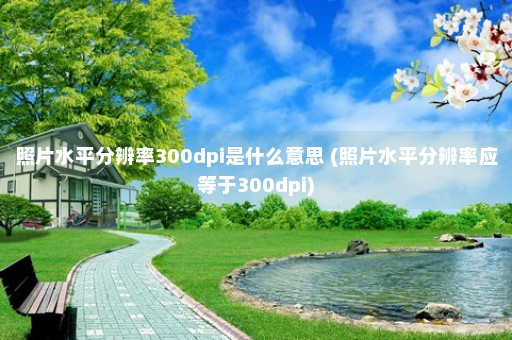 照片水平分辨率300dpi是什么意思 (照片水平分辨率应等于300dpi)