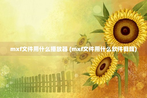 mxf文件用什么播放器 (mxf文件用什么软件剪辑)