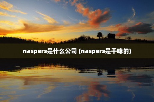 naspers是什么公司 (naspers是干嘛的)