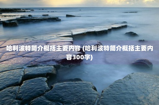 哈利波特简介概括主要内容 (哈利波特简介概括主要内容300字)