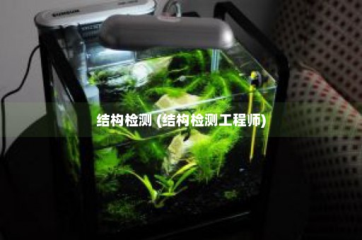 结构检测 (结构检测工程师)