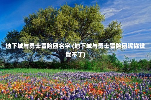 地下城与勇士冒险团名字 (地下城与勇士冒险团昵称设置不了)