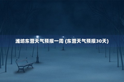 潍坊东营天气预报一周 (东营天气预报30天)