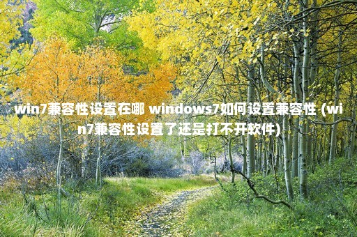 win7兼容性设置在哪 windows7如何设置兼容性 (win7兼容性设置了还是打不开软件)