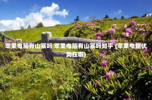 苹果电脑有山寨吗 苹果电脑有山寨吗知乎 (苹果电脑优势在哪)