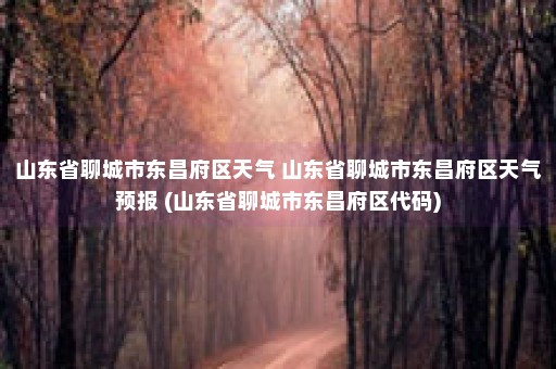 山东省聊城市东昌府区天气 山东省聊城市东昌府区天气预报 (山东省聊城市东昌府区代码)