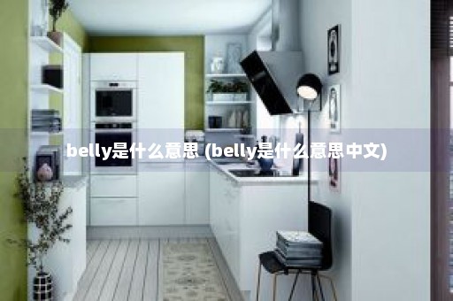 belly是什么意思 (belly是什么意思中文)