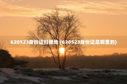 620523身份证归属地 (620523身份证是哪里的)