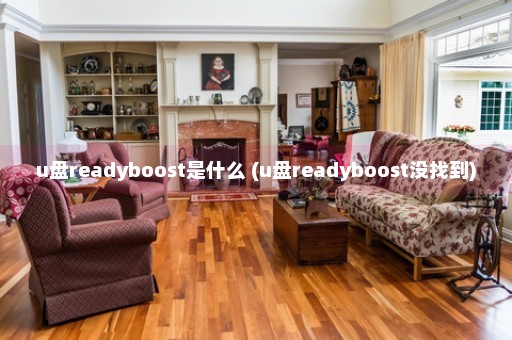 u盘readyboost是什么 (u盘readyboost没找到)