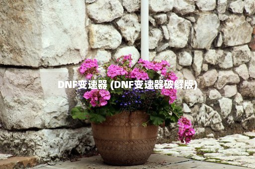 DNF变速器 (DNF变速器破解版)