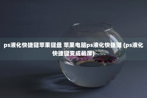 ps液化快捷键苹果键盘 苹果电脑ps液化快捷键 (ps液化快捷键变成截屏)