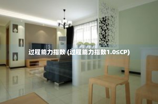 过程能力指数 (过程能力指数1.0≤CP)