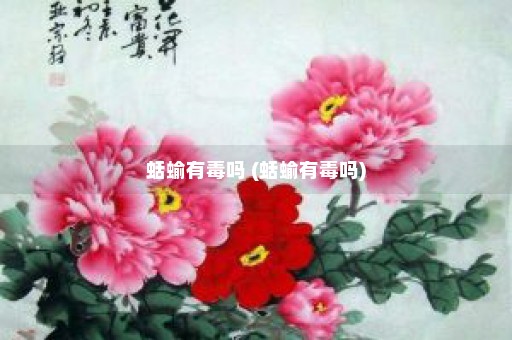 蛞蝓有毒吗 (蛞蝓有毒吗)