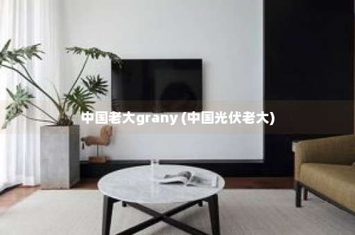 中国老大grany (中国光伏老大)