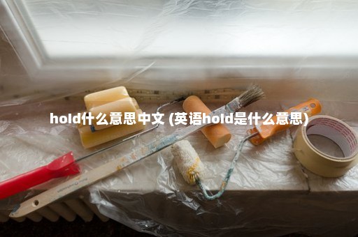 hoId什么意思中文 (英语hoId是什么意思)