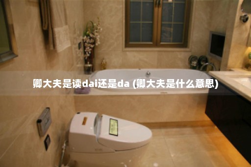 卿大夫是读dai还是da (卿大夫是什么意思)