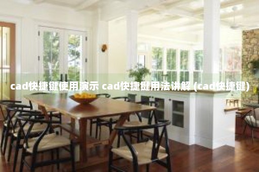 cad快捷键使用演示 cad快捷键用法讲解 (cad快捷键)