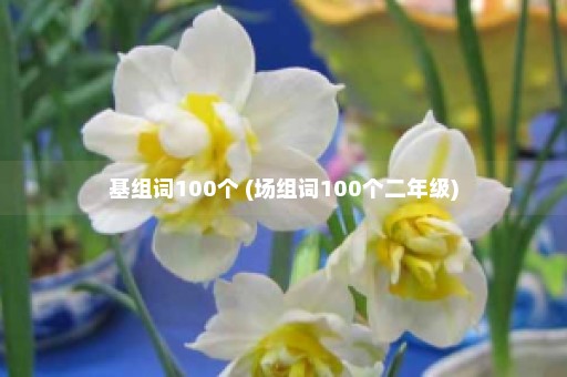 基组词100个 (场组词100个二年级)