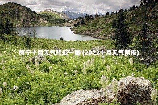 南宁十月天气预报一周 (2022十月天气预报)