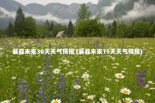 襄县未来30天天气预报 (襄县未来15天天气预报)