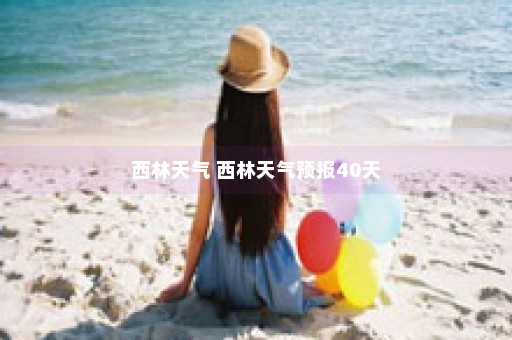 西林天气 西林天气预报40天