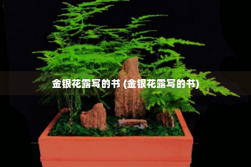 金银花露写的书 (金银花露写的书)