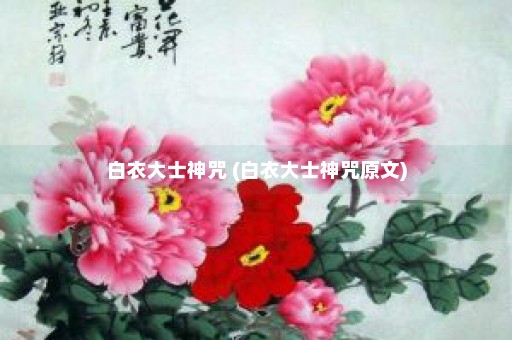 白衣大士神咒 (白衣大士神咒原文)