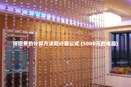 折旧费的计算方法和计算公式 (5000元的电脑)