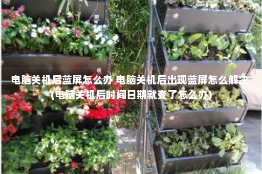 电脑关机后蓝屏怎么办 电脑关机后出现蓝屏怎么解决 (电脑关机后时间日期就变了怎么办)