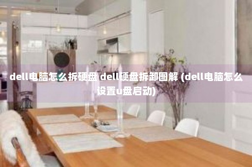 dell电脑怎么拆硬盘 dell硬盘拆卸图解 (dell电脑怎么设置u盘启动)