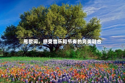 甩歌词，感受音乐和节奏的完美融合