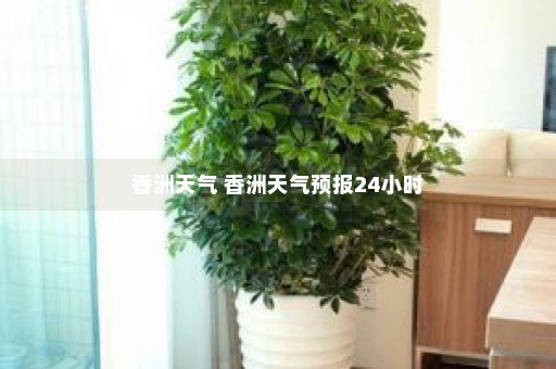 香洲天气 香洲天气预报24小时