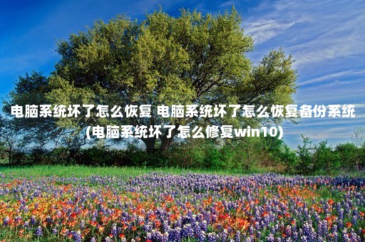 电脑系统坏了怎么恢复 电脑系统坏了怎么恢复备份系统 (电脑系统坏了怎么修复win10)