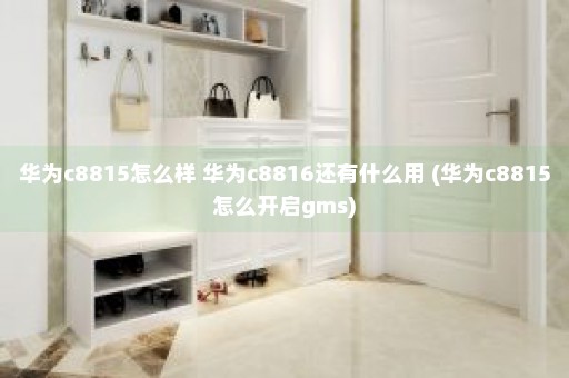 华为c8815怎么样 华为c8816还有什么用 (华为c8815怎么开启gms)