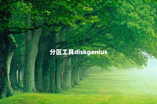 分区工具diskgenius