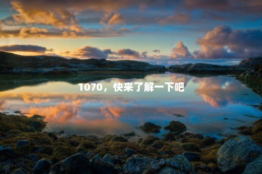 1070，快来了解一下吧